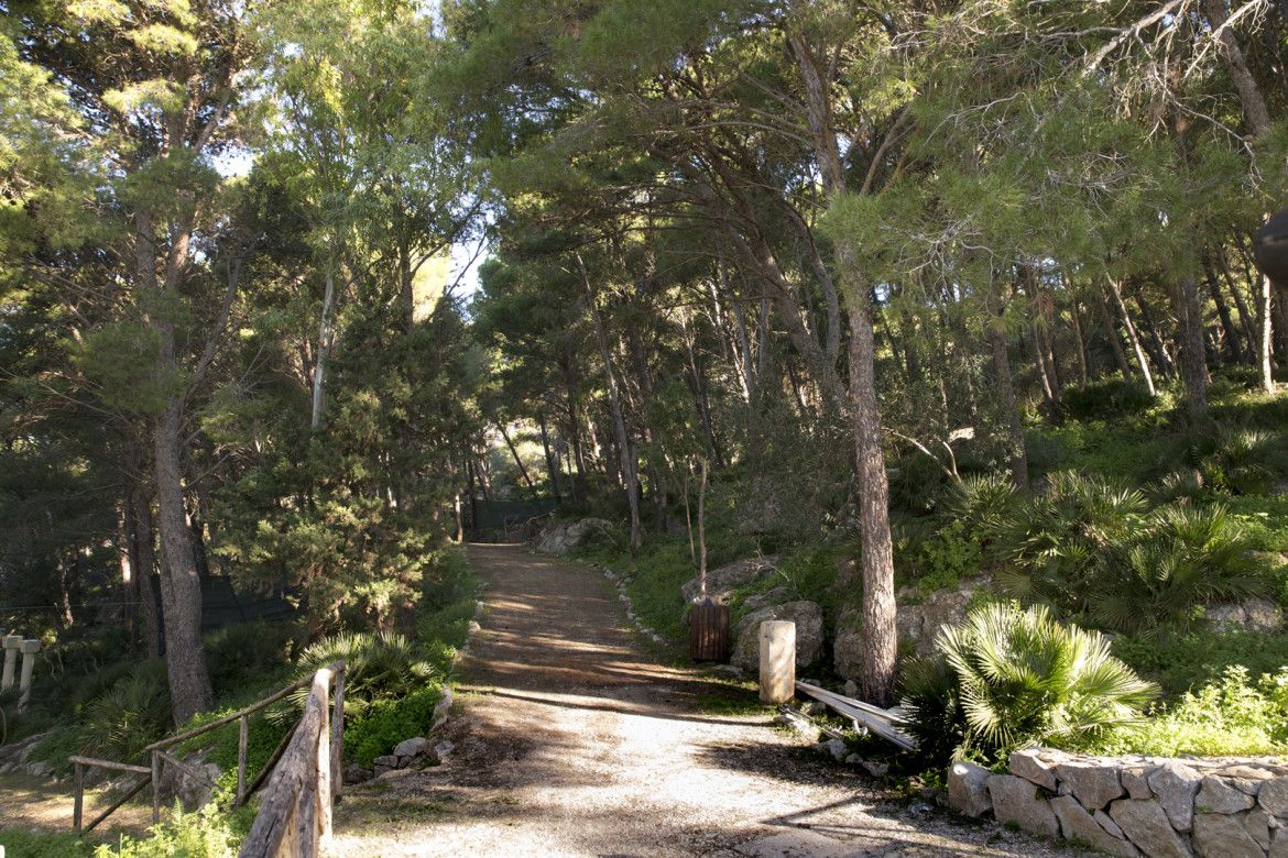 Parco urbano di Misericordia