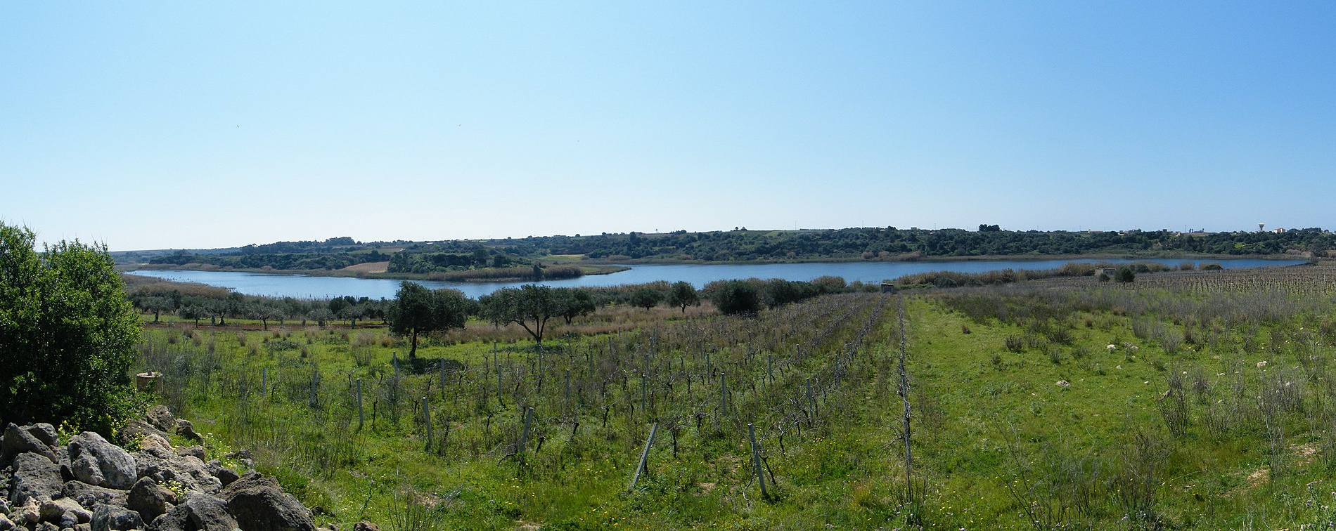 Riserva Naturale Integrata Lago Preola e Gorghi Tondi