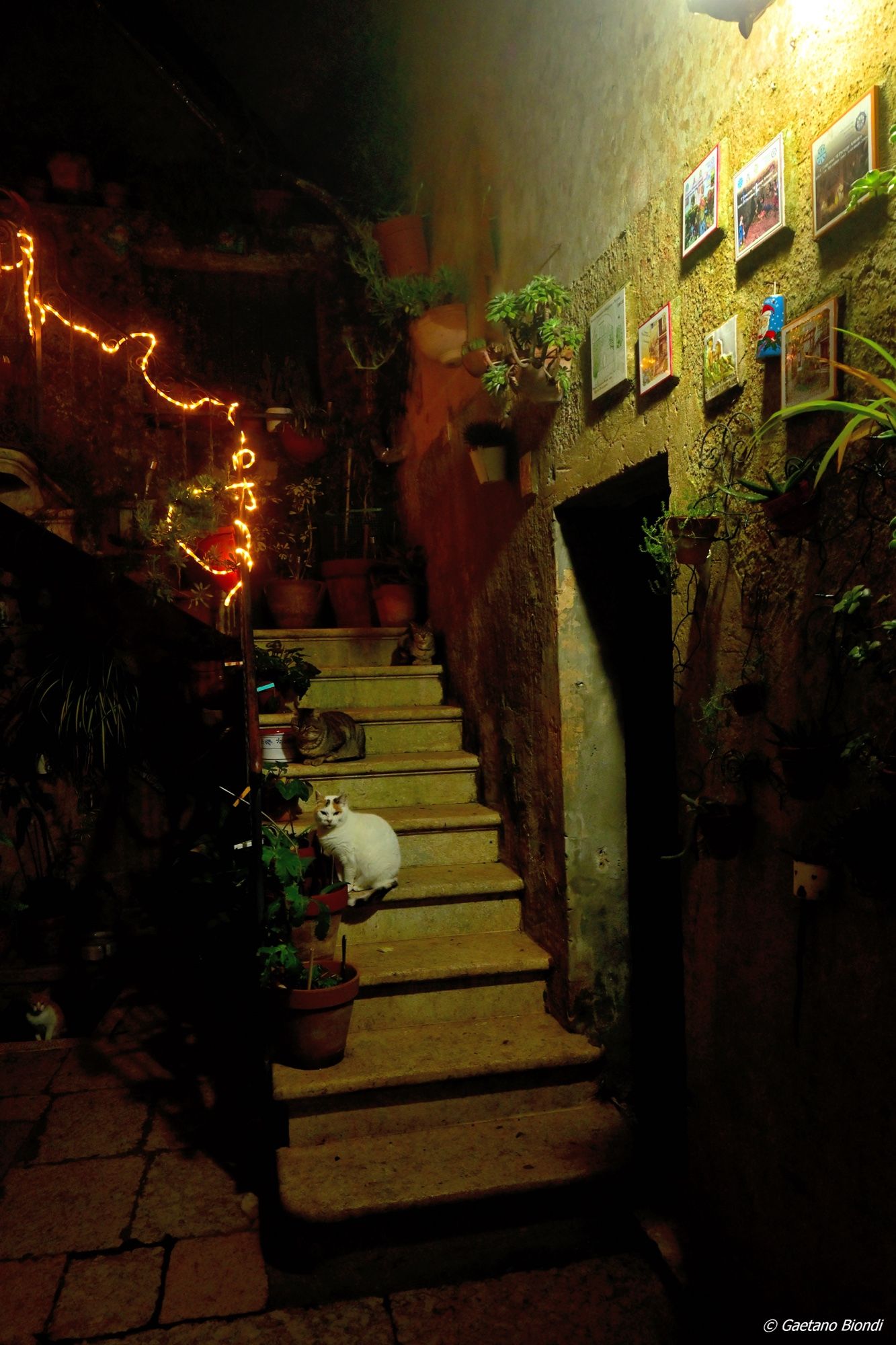 Scorcio di un tipico cortile ericino con scalinata