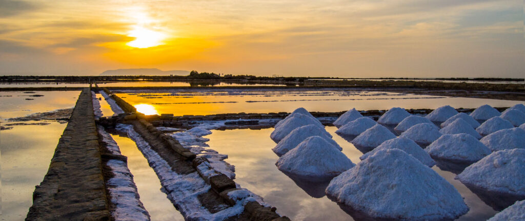 Visita guidata alle Saline Culcasi e al Museo